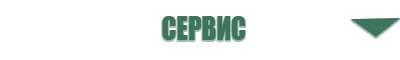 медицинский аппарат Дэнас Кардио мини